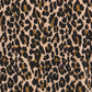 Chantel Leopard Bow Top