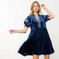 Embroidered Detail Sleeve Velvet Dress
