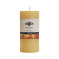 Spooky Fall Collection – Pure Beeswax Candles